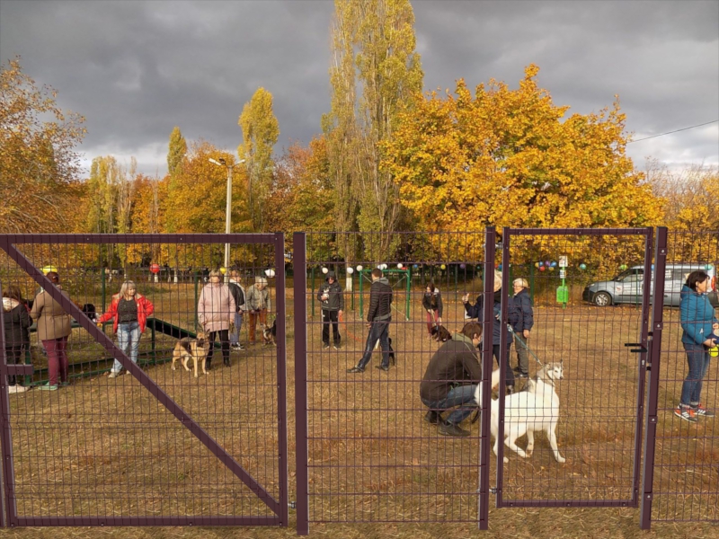Ограждение на площадке для выгула собак