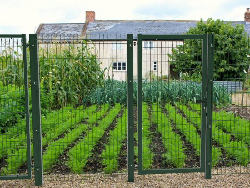 Ограждение для огорода