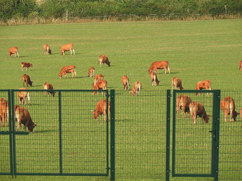 Пастбищное ограждение