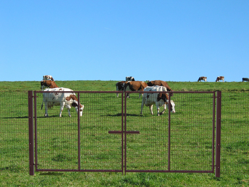 Пастбищное ограждение 3D